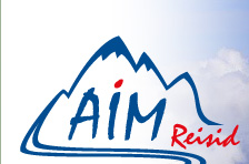 AIM logo